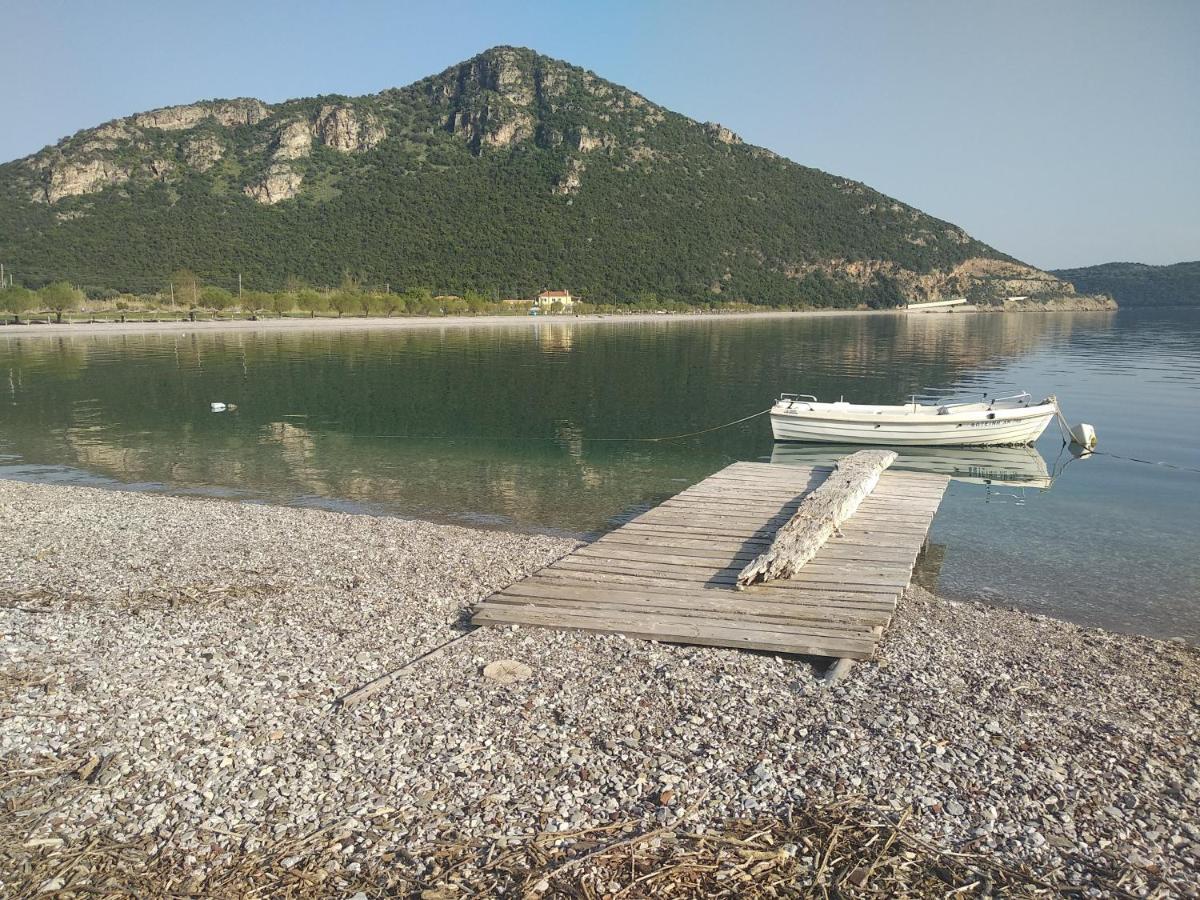 Hotel Theasis Paralia Sergoulas Екстер'єр фото